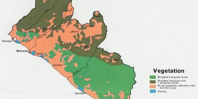 Mapa vegetácie mapa Libéria